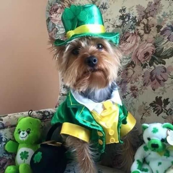 Meet your Posher, Tammy - Picture 1 of 1